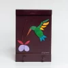 Hummingbird Design
